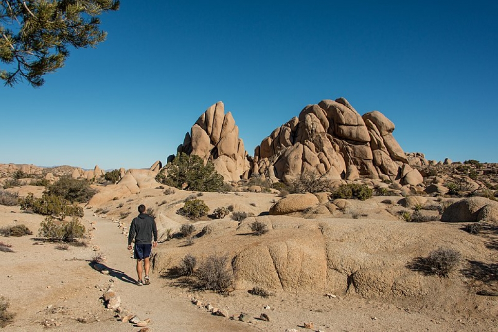 Skull Rock Trail