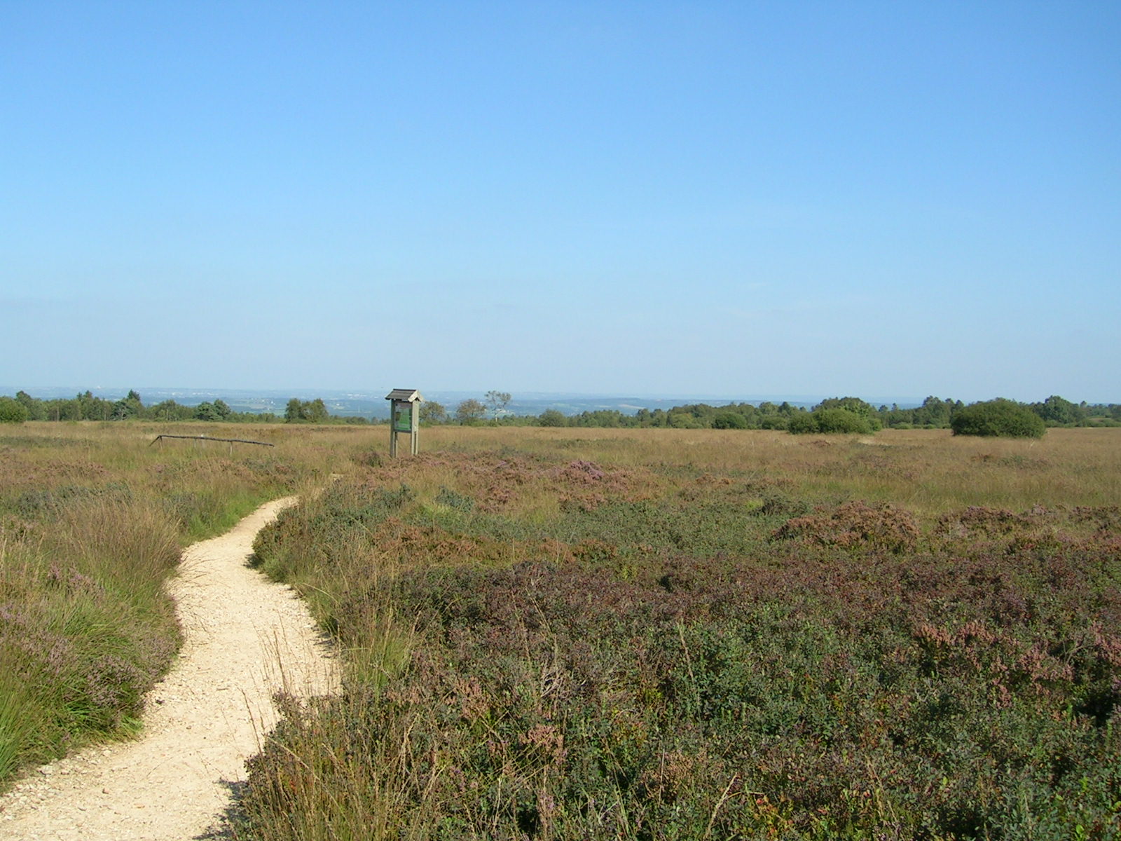 La Fagne de Malchamps