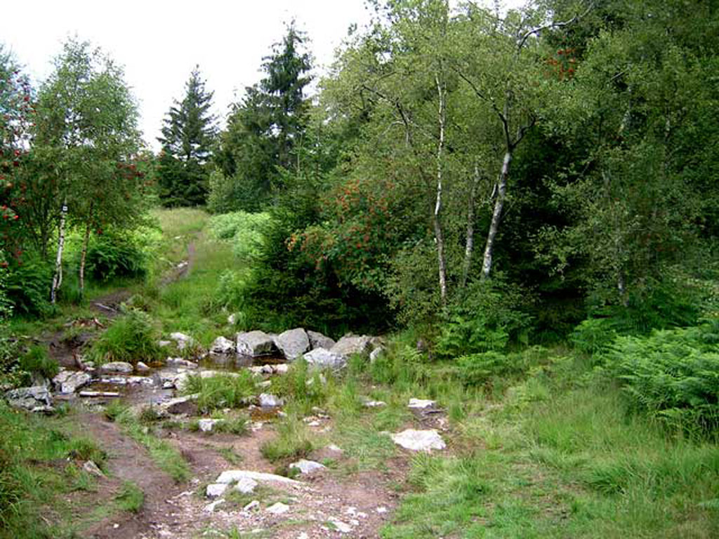 Source du Ruisseau d’Herbôfaye