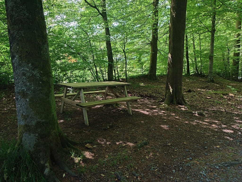 Pique-nique du Bois de la Fontaine