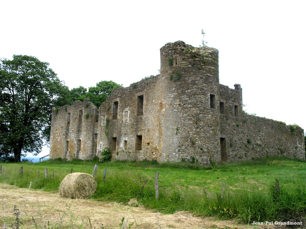 Les Ruines du Château de Montquintin