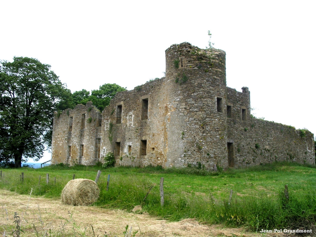 Les Ruines du Château de Montquintin
