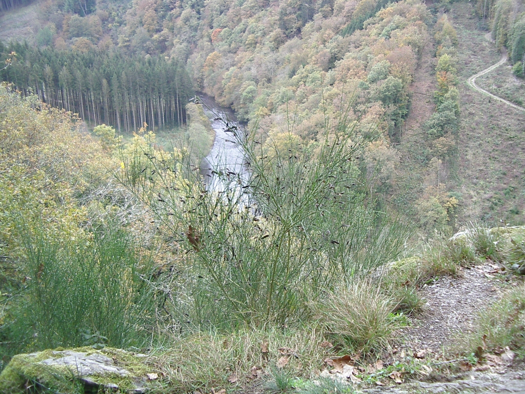 Le Rocher du Hérou