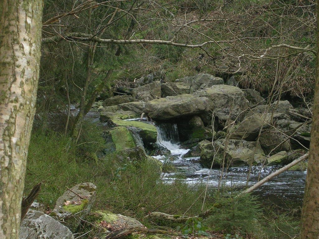 Back to Baraque Michel from Jalhay (via Vallée de la Hoëgne)