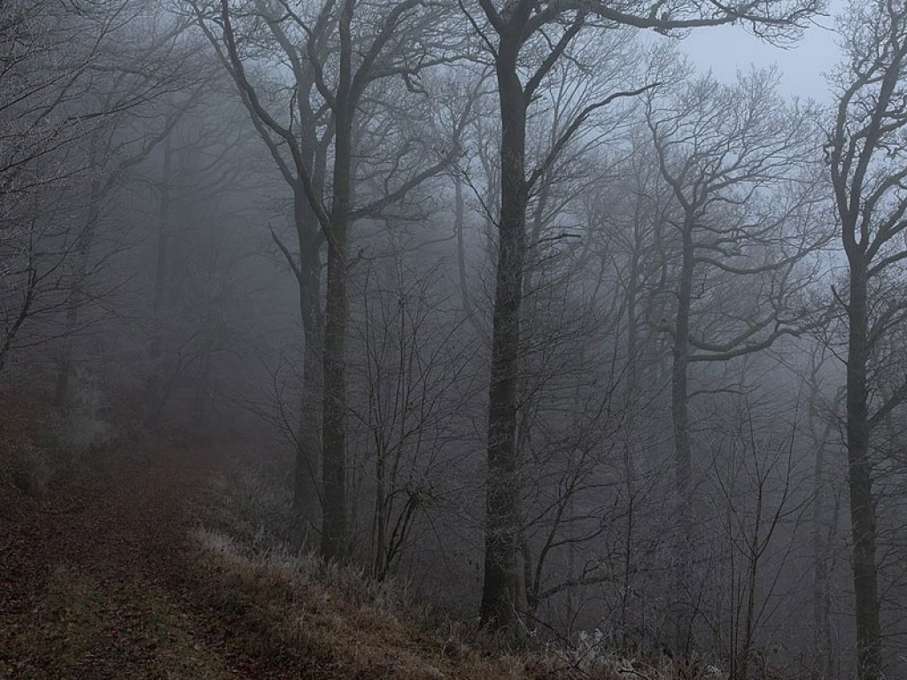 Le Saut des Sorcières