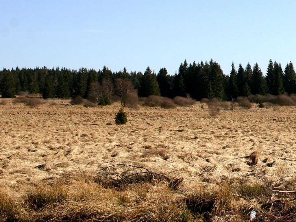 Le Centre Nature de Botrange