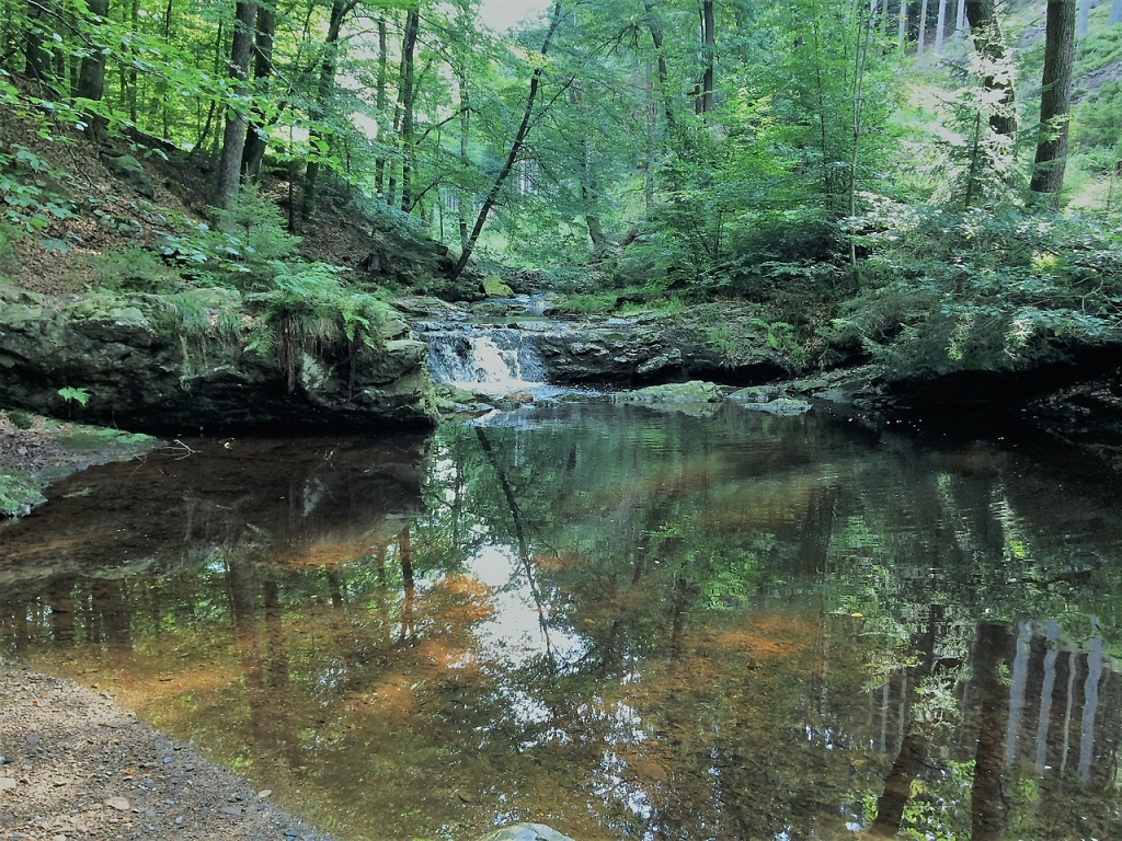 Back to Eupen from Drossart (via Vallée de la Soor)