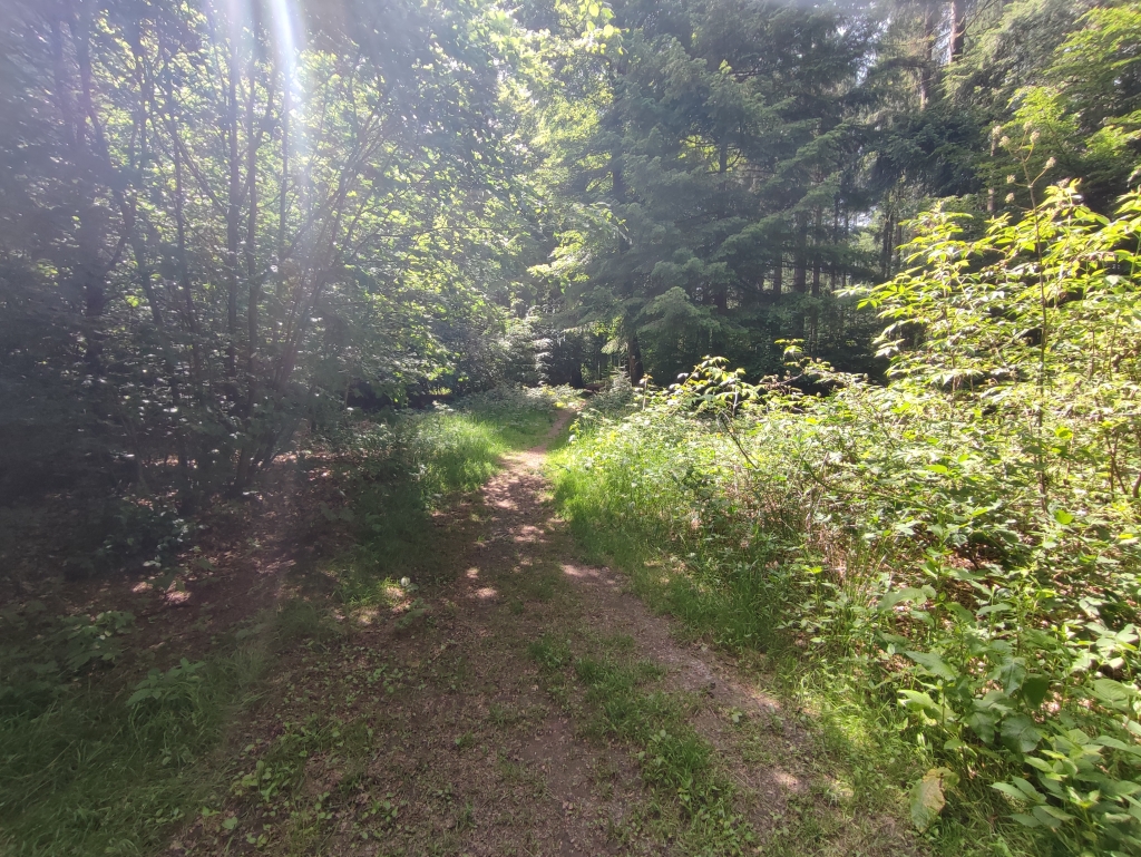 Le Circuit long du Bois de Bonance