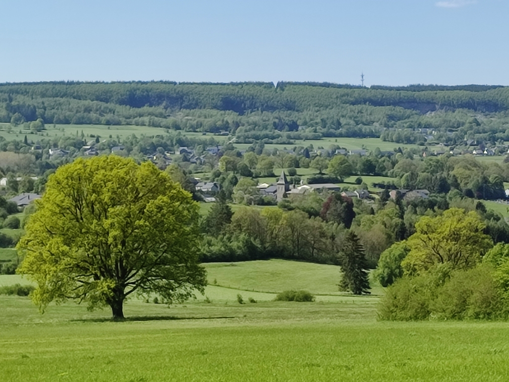 La petite boucle du Rond-Chêne