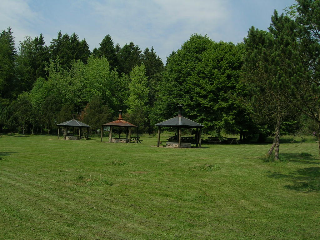 La Clairière de So Bêchefa